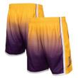 Los Angeles Lakers  2009/10 Hardwood Classics Fadeaway Reload 3.0 Swingman Shorts - Gold/Purple