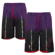 Toronto Raptors  Youth 1998/99 Hardwood Classics Fadeaway Reload 3.0 Swingman Shorts - Purple/Black