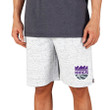 Sacramento Kings Concepts Sport Throttle Knit Jam Shorts - White/Charcoal