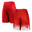 Chicago Bullss Branded Fadeaway Shorts - Red