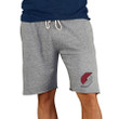 Portland Trail Blazers Concepts Sport Mainstream Terry Shorts - Gray