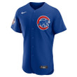 Men's Chicago Cubs Custom #00 Alternate Royal Jersey, MLB Jersey