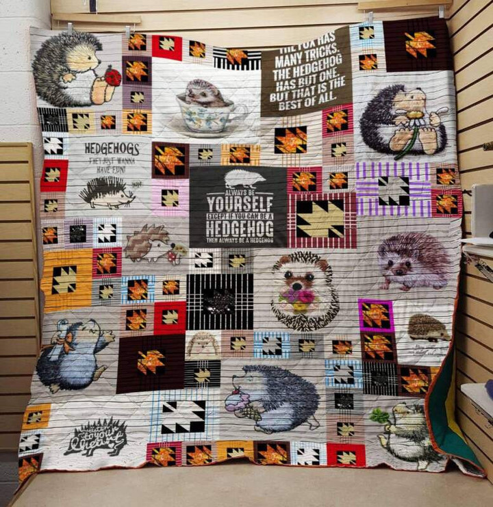 Hedgehog Yourself 3D Customized Quilt Blanket Size Single, Twin, Full, Queen, King, Super King  