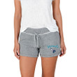 Charlotte Hornets Concepts Sport Womens Mainstream Terry Shorts - Gray