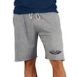 New Orleans Pelicans Concepts Sport Mainstream Terry Shorts - Gray