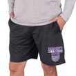 Sacramento Kings Concepts Sport Bullseye Knit Jam Shorts - Charcoal