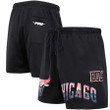 Chicago Bulls Pro Standard City Scape Mesh Shorts - Black