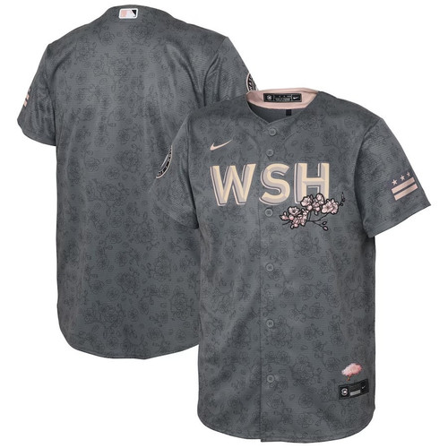 Youth's Custom Washington Nationals 2022 City Connect Replica Jersey - Gray