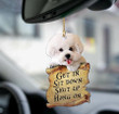 Bichon Frise Get In Two Sided Ornament