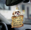 Shih Tzu Get In Two Sided Ornament