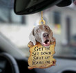 Weimaraner Get In Two Sided Ornament