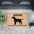 Labrador Easy Clean Welcome DoorMat | Felt And Rubber | DO3230