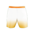 Schweiden Adlers Beach Shorts