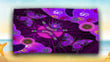  Aboriginal Naidoc Week Purple Butterflies Beach Towel