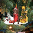  Chocolate Labrador Retriever Christmas Ornament .TQH