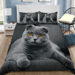  Cute Short Hair Scottish Cat Bedding Set MH