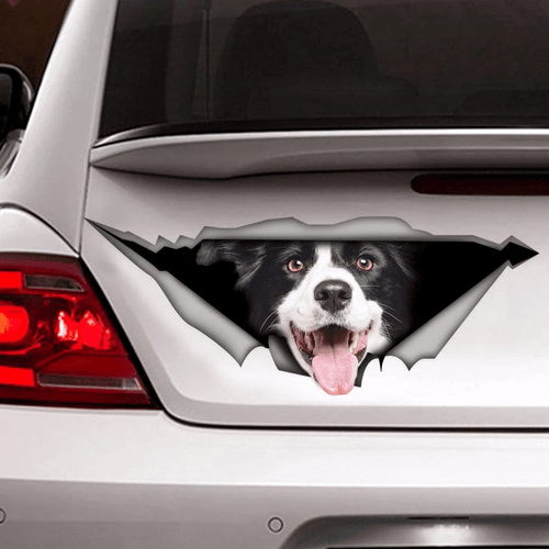 Border Collie Cracked Car Decal Sticker | Waterproof | Easy Install | PVC Vinyl | CCS2382