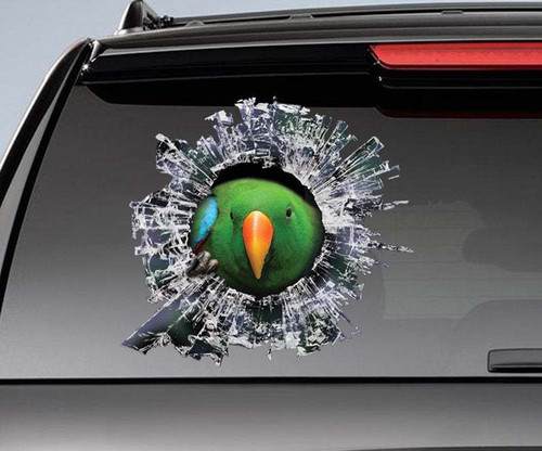 Parrot Cracked Car Decal Sticker | Waterproof | Easy Install | PVC Vinyl | CCS2365