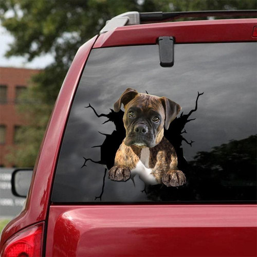 Boxer Cracked Car Decal Sticker | Waterproof | Easy Install | PVC Vinyl | CCS1110