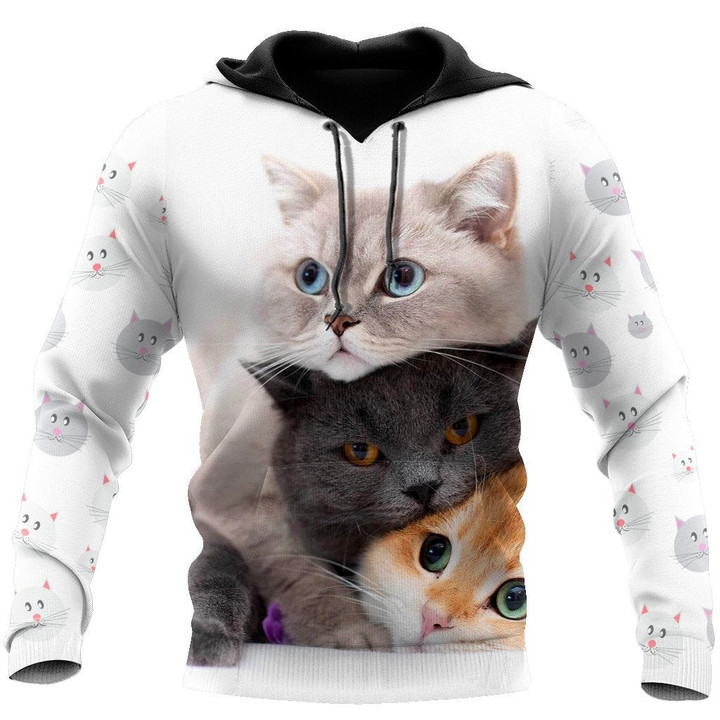 British Shorthair Cat 3D All Over Printed Shirts For Men and Women