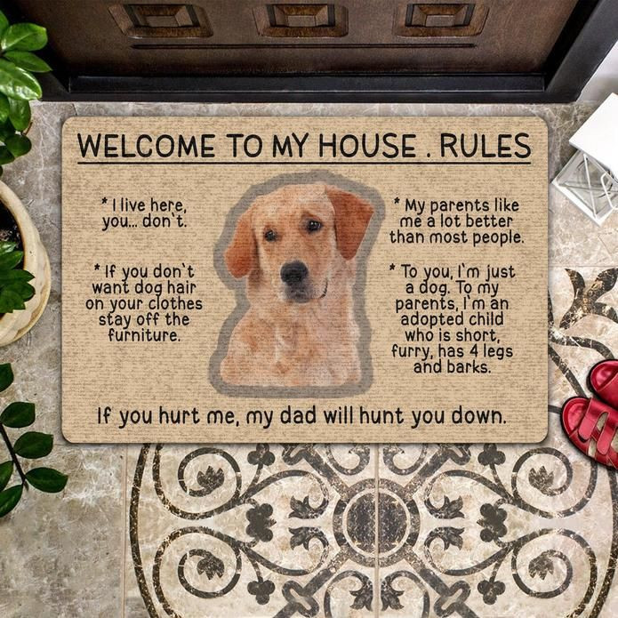 Labrador Easy Clean Welcome DoorMat | Felt And Rubber | DO2732