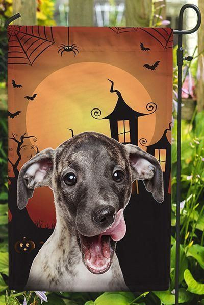 Whippet Halloween Background Gift For Dog Lover Garden Decor Flag | Denier Polyester | Weather Resistant | GF2400