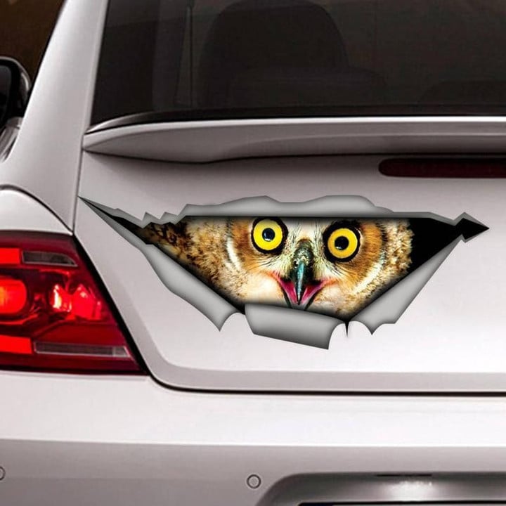 Owl Cracked Car Decal Sticker | Waterproof | Easy Install | PVC Vinyl | CCS1413