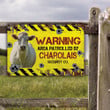 Charolais Cattle Lovers Warning Area Metal Sign