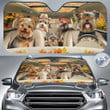 Yorkshire Terrier Dog Lovers Autumn Road Car Auto Sunshade 57" x 27.5"