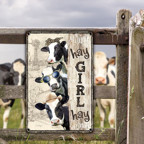 Holstein Friesian Cattle Lovers Hay Girl Hay Metal Sign