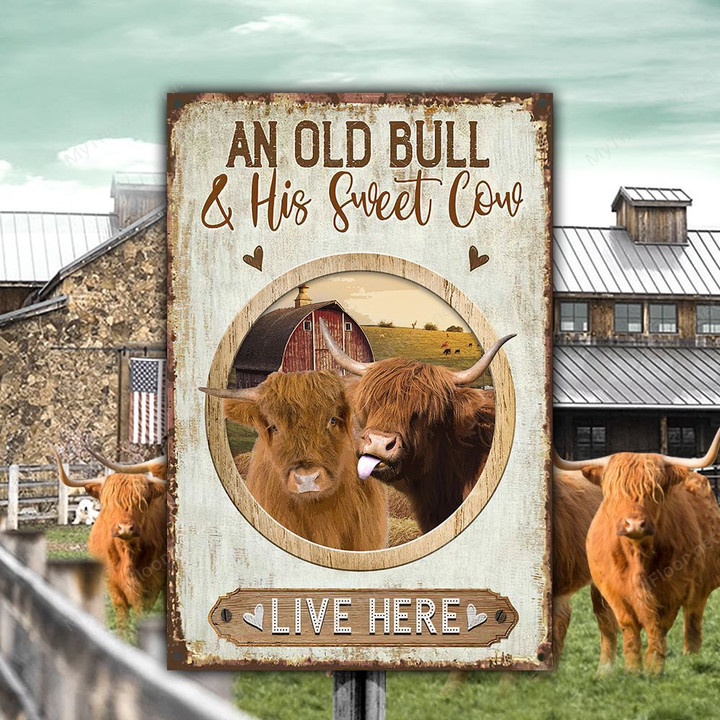Highland Cattle Lovers Old Bull And Sweet Cow Metal Sign