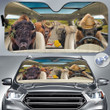 Bison Lovers Country Road Car Auto Sunshade 57" x 27.5"
