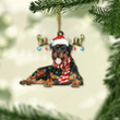 Rottweiler Dog Lovers Christmas Gift Santa Hat Custom Shape Acrylic Ornament