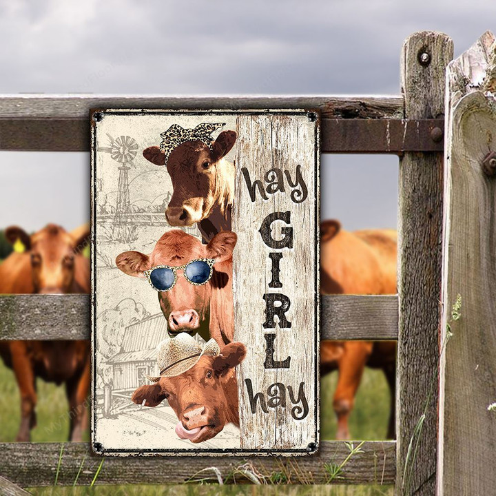 Red Angus Cattle Lovers Hay Girl Hay Metal Sign