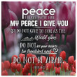 John 14:27 Peace I leave with you; my peace I give you canvas wall art