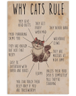 Cat Wall Art Why Cats Rule Matte Canvas, Gift For Cat Lovers - spreadstores