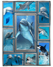 Dolphin Blanket - Gift For Dolphin Lover Sherpa Blanket - Spreadstores