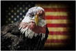Eagle American Flag Canvas, Patriotic American, Gift For Veteran Matte Canvas - Spreadstores