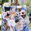 Kitten Blanket, Cat Blanket, Birthday Gift Idea For Cat Lover, Animals Lover Gifts Fleece Blanket - Spreadstores