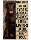 Labrador Retriever Dog Canvas When I Look Into The Eyes Of An Animal Matte Canvas - Spreadstores