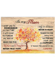 Mom Canvas, Mother's Day Gift For Mom, To My Mom, I Want You To Remember As I Say I Do Canvas - Spreadstores