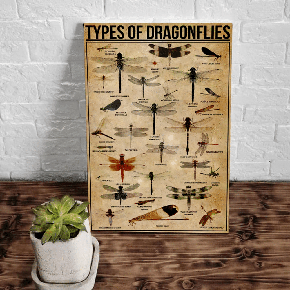 Types Of Dragonflies Matte Canvas - Spreadstores