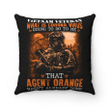 Veterans Pillow, Gift For Veteran's Day, Vietnam Veteran Agent Orange Hasn't Already Done Pillow - Spreadstores