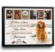 Pet Memorial Photo Gifts In Memory Dog Gifts Dog Memorial Canvas If love alone could have kept you here - Personalized Sympathy Gifts - Spreadstore
