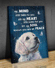 Spread Store Golden Retriever - My mind still talks to you - Personalized Sympathy Gifts - Spreadstore