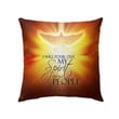 I will pour out my spirit on all people Acts 2:17 Bible verse pillow - Christian pillow, Jesus pillow, Bible Pillow - Spreadstore