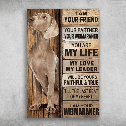 Cute Weimaraner Dog Canvas, I Am Your Friend I Am Your Weimaraner, Gifts For Dog Lover Canvas - spreadstores