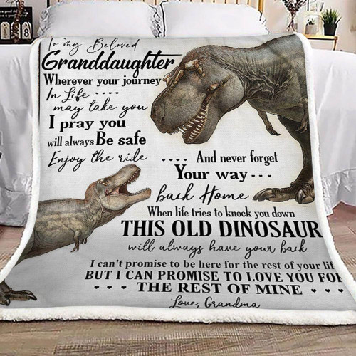 Dinosaur Grandma To Granddaughter, Wherever Your Journey In Life May Take You Fleece Blanket - Spreadstores