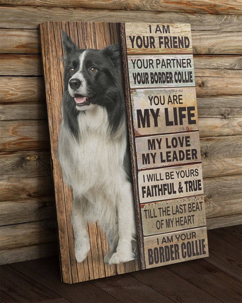 Dog Canvas, I Am Your Friend, Your Partner, You Are My Life, I Will Be Yours Faithful, Border Collie Dog Canvas - Spreadstores