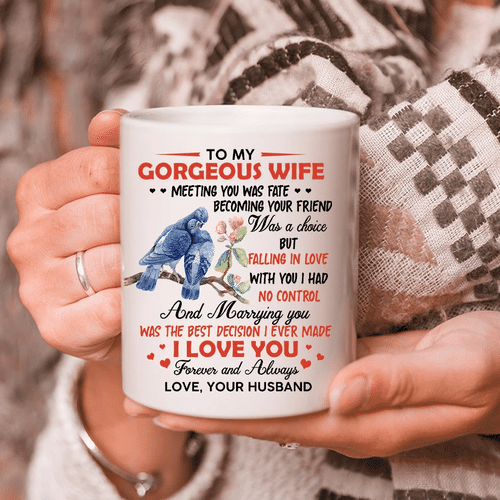 Valentine's Day Gift To My Gorgeous Wife Meeting You Was Fate Becoming Your Friend Bird Mug - Spreadstores